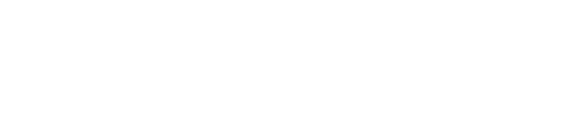 Logo SAFTI