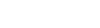 Logo Netty